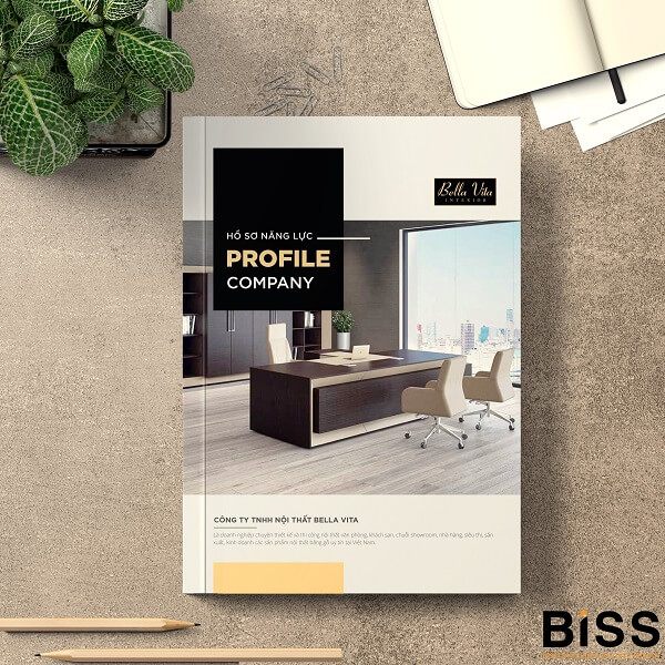Thiết kế Profile công ty