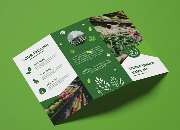 Thiết kế Brochure