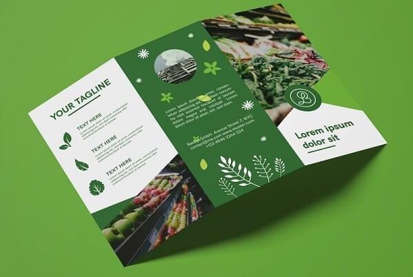 mẫu thiết kế brochure đẹp