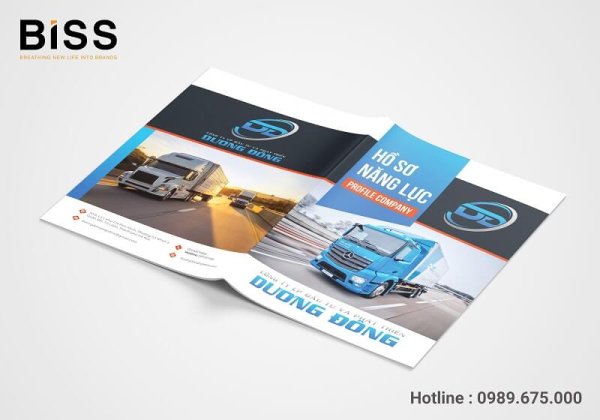 Mẫu hồ sơ năng lực công ty CP Đầu Tư và Phát Triển Dương Đông