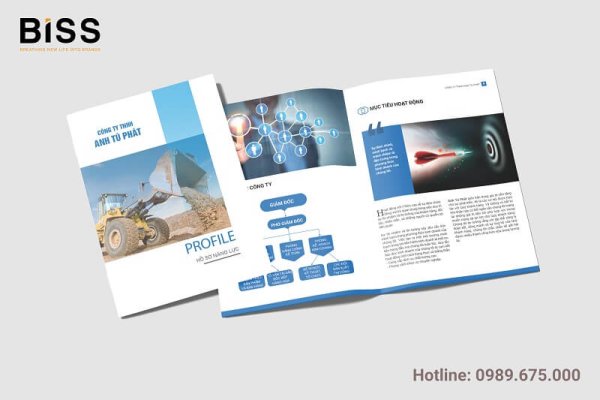 Mẫu hồ sơ năng lực công ty TNHH ANH TÚ PHÁT