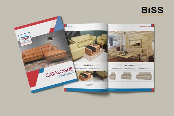 Thiết kế catalogue