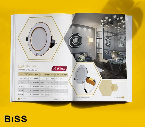 Thiết kế catalogue