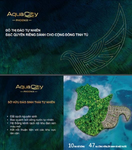 thiết kế hồ sơ năng lực