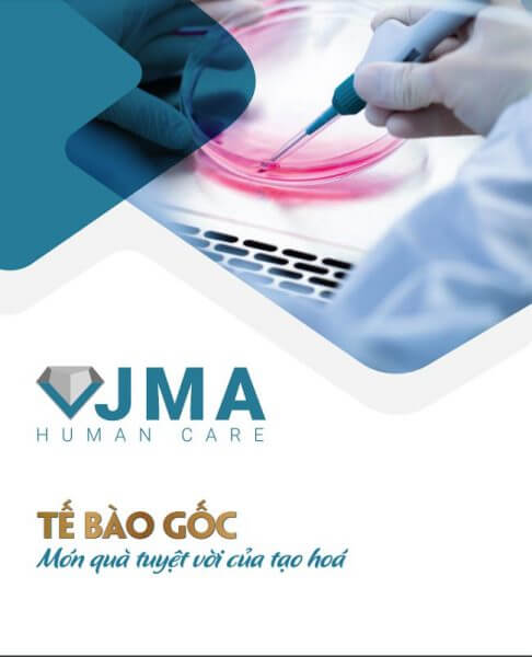 thiết kế hồ sơ năng lực